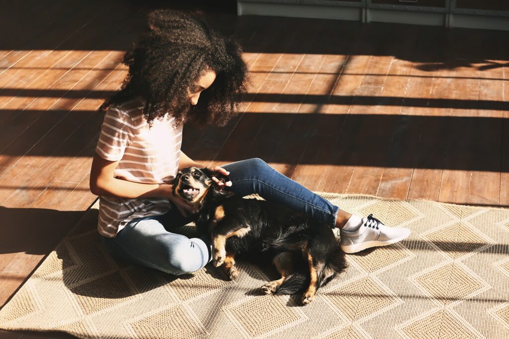 Pet friendly low pile area rug on hard surface flooring with a dog and child sitting comfortably in a sunlit room